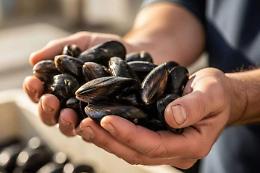 Epatite A: l'aggiornamento dei ricoveri dopo le feste