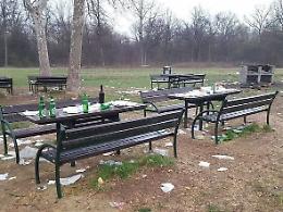 Pasquetta di degrado a Nichelino, il parco del Boschetto ridotto a una discarica