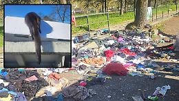 Discarica dopo il suk di via Carcano. E tra i rifiuti spunta una faina 