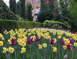 Chieri, arriva la prima &ldquo;Giornata dell&rsquo;Energia Sociale&rdquo;: sabato 11 aprile la cultura scende in piazza