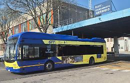 Trovata morta sul sedile del bus al Gerbido: ipotesi malore