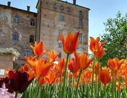 Santena, un calendario di primavera tra arte, natura e memoria