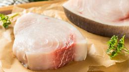 Allerta alimentare, pesce spada contaminato: scatta il richiamo per rischio mercurio