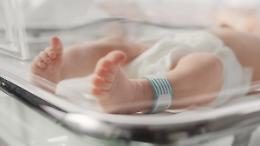 Inps, bonus per i nuovi nati 2026: ecco l'importo e i requisiti