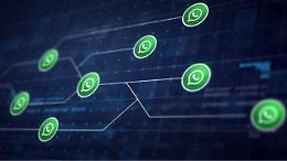 WhatsApp cambia tutto: arrivano gli username, addio (quasi) al numero di telefono