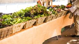 Torna la grande Fiera Agricola di Coazze: due giorni tra trattori, animali e tradizioni