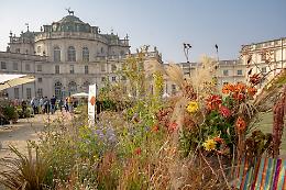 Akai Ito, le razze nipponiche tornano a Stupinigi: il "filo rosso" fa tappa alla Palazzina