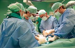 Donazione di organi, il 40% degli italiani scopre la scelta solo allo sportello