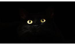 Perch&eacute; si dice che venerd&igrave; 17 porti sfortuna?