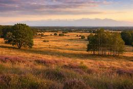 In Piemonte esiste la pi&ugrave; grande &ldquo;savana d&rsquo;Europa&rdquo;: la Baraggia 