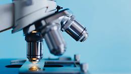 Tumori e malattie croniche, da Novara la scoperta che pu&ograve; fermare l&rsquo;atrofia muscolare