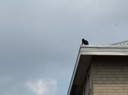 Santa Rita, minaccia di buttarsi dal palazzo: ad agosto era salito sul Filadelfia per suicidarsi