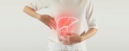 Giornata Mondiale del Fegato, l&rsquo;importanza della prevenzione per un organo vitale