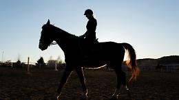 Pinerolo si accende con la Fiera di Primavera: 250 stand, cavalli e spettacoli in tutta la citt&agrave;