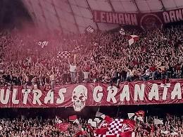 Daspo violati, otto ultras del Torino condannati