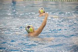 La Torino '81 anche quest'anno giocher&agrave; per la promozione in serie A1, coach Aversa: &laquo;Bravi i ragazzi a crederci sempre&raquo;