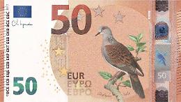 Nuove banconote: ecco i possibili disegni che verranno stampati, tra grandi artisti e animali simbolo d&rsquo;Europa