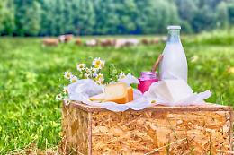 Fiera di Primavera, a Cavour debutta &ldquo;Terre e Cibo&rdquo; tra sapori e biodiversit&agrave;