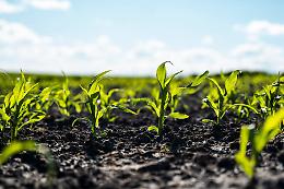 Liquami illeciti nei campi a La Loggia: denuncia e sanzione da 2.500 euro