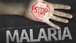 Giornata Mondiale della Malaria, in Italia 800 casi l'anno, tutti d'importazione