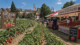 San Mauro, il paese delle fragole: una storia nata grazie a un regalo del duca