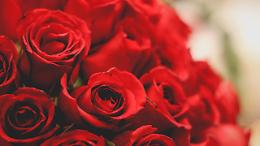 Lein&igrave; celebra le mamme: una giornata di festa tra rose, musica e tradizioni al Parco San Valentino