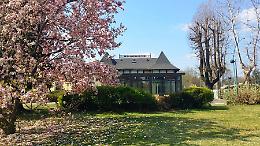 Oleggio, paura al &ldquo;Bistrot ai giardini&rdquo;: gruppo di giovani danneggia il locale davanti ai clienti