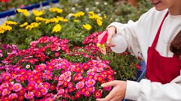 Carignano si veste di primavera: Fiori & Vini accende il weekend