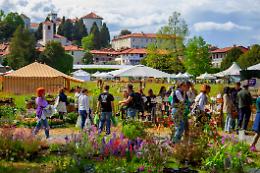 Tre giorni per il giardino, a Caravino torna l'appuntamento del Fai con il florovivaismo 