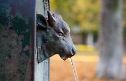 Acqua potabile, l&rsquo;Ue avvia una procedura di infrazione contro l&rsquo;Italia
