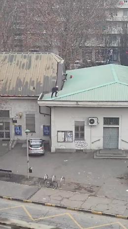 Torino, due anziani sul tetto per pulire le grondaie: il video diventa virale