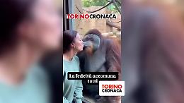 Chi l'ha detto che solo gli esseri umani sono gelosi?