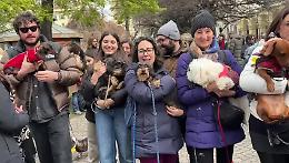 Bassotti in passerella: la settima edizione della Sausage Walk Italia unisce gli appassionati da Nord a Sud