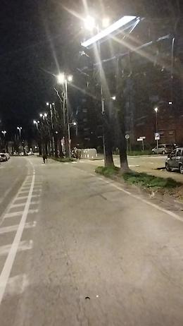 Incredibile a Borgaro: purosangue col suo asinello bloccano il traffico
