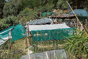 Torino riavrà la sua “spiaggia”: lavori da lunedì per 1 milione