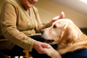 Settimo dice sì alla pet therapy: approvata la mozione in Consiglio
