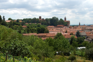 Sommariva del Bosco, il caso dei 42 alberi abbattuti agita il paese
