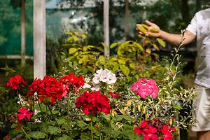 Chieri, l'orto didattico che unisce generazioni e natura