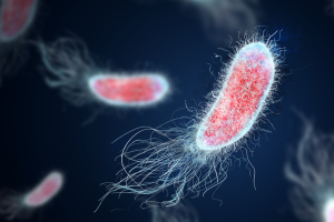 HIV, allarme diagnosi tardive: 6 casi su 10 scoperti troppo tardi. Ecco cosa dicono i dati