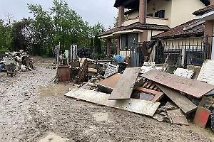 Una catena di solidarietà per la donna che salva i cani