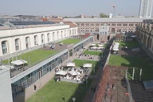 Una vigna nel cuore del Politecnico, ecco il progetto Campus Grapes