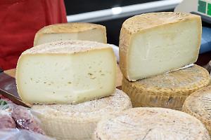 La Sardegna boccia la revisione del disciplinare del Pecorino Romano DOP
