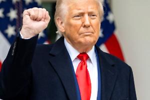 Trump: «Fermare il bagno di sangue». Lunedì i colloqui con Putin, Zelensky e la NATO