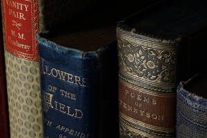 Festival letterari in Piemonte: tra libri, arte e cultura sotto le stelle