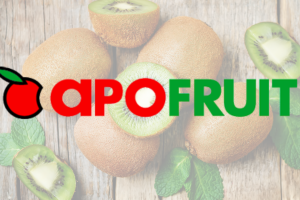 Apofruit Italia chiude il 2024 con ricavi e liquidazioni in forte crescita
