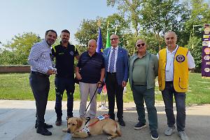 Moncalieri, grazie ai Lions una nuova luce per il signor Armando: consegnato il cane guida Lumiere