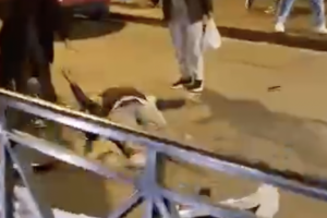 Auto contro pedone alla fermata del tram. Il video shock a Barriera