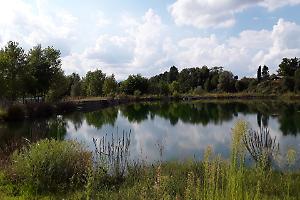 Lago del Villaretto: la Circoscrizione valuta nuovi interventi di riqualificazione