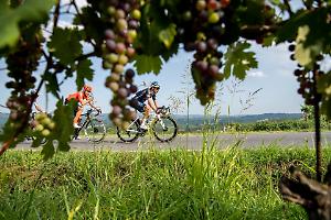 Gran Piemonte 2025: giovedì 9 ottobre la corsa attraversa le Langhe