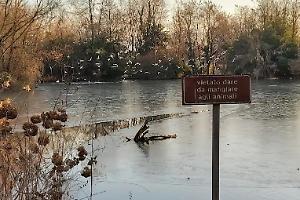 Settimo Torinese, donna di 78 anni cade nel laghetto del parco Oasi della Speranza: salvata